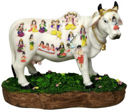 Sacred Cow 7"